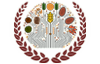 Functional & Innovative Foods Limited